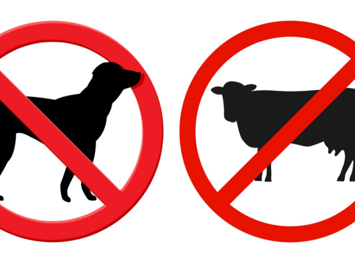 Legeltetési tilalom és ebzárlat